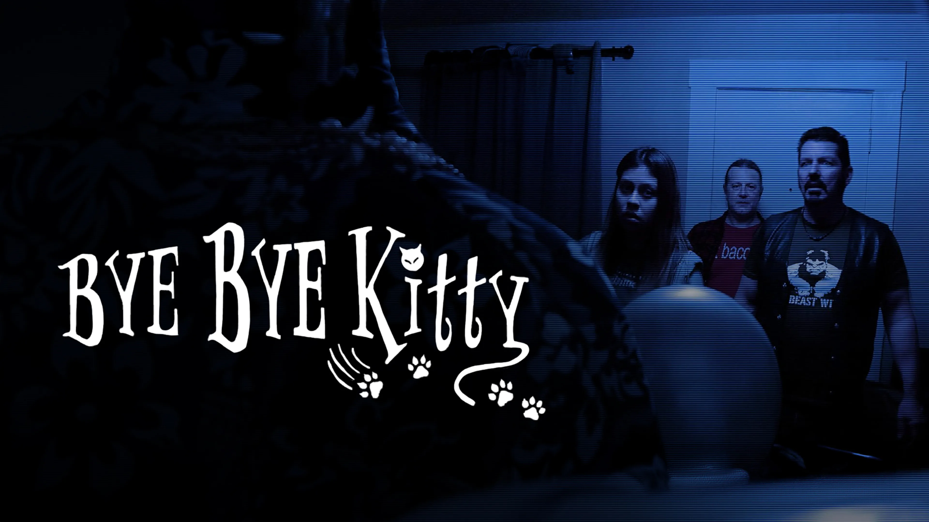 Bye Bye Kitty poster